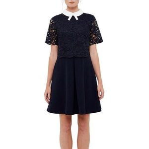Ted Baker Dixxy Lace Bodice Double Layer Dress